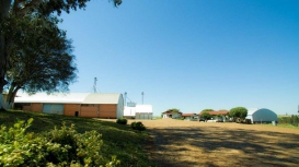 Sementes Lunardi